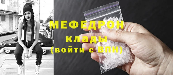 индика Каменногорск