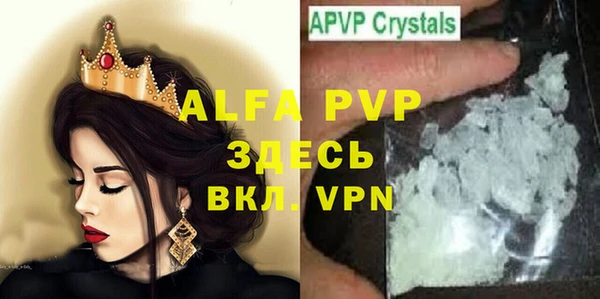 индика Каменногорск