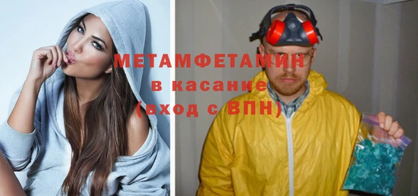 индика Каменногорск