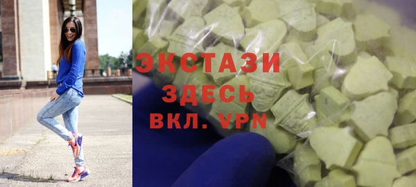 индика Каменногорск