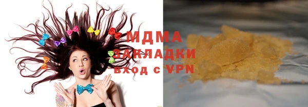 индика Каменногорск