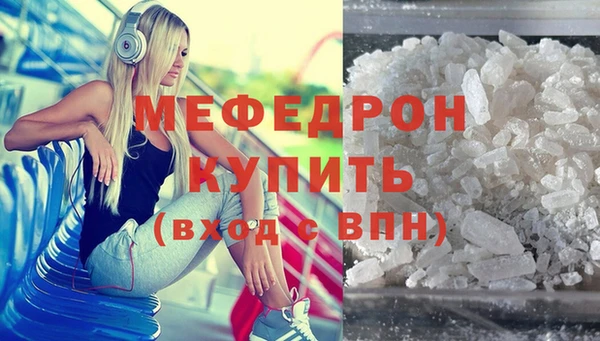 индика Каменногорск