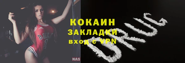 индика Каменногорск