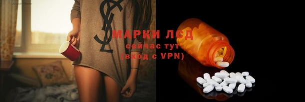 индика Каменногорск