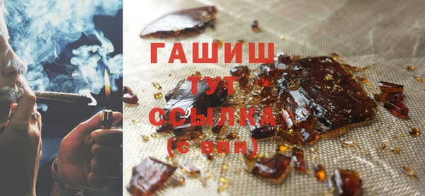 индика Каменногорск