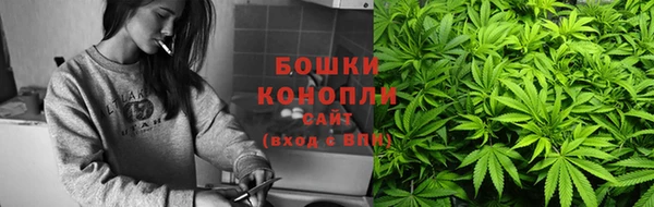 индика Каменногорск