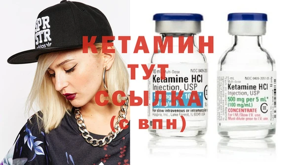 индика Каменногорск