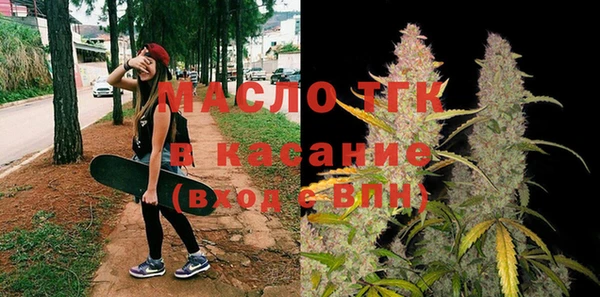 индика Каменногорск
