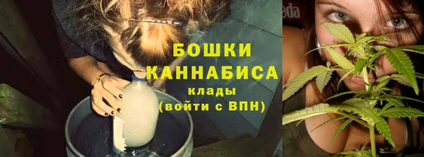 индика Каменногорск