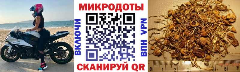 кракен как зайти  как найти закладки  Куровское  Псилоцибиновые грибы мухоморы 